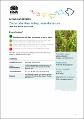 zieria-odorifera-subsp-warrabahensis-zieria-odorifera-subsp-warrabahensis-2020-21.PDF.jpg