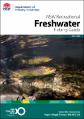 NSW-Recreational-Fishing-Guide-Freshwater-2024-2025 .pdf.jpg
